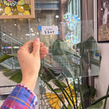Clear Transparent – RA681