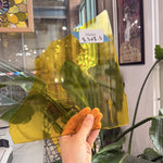 Transparent Yellow Spectrum – RA685
