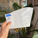 White Wispy Opal Spectrum Sheet Glass