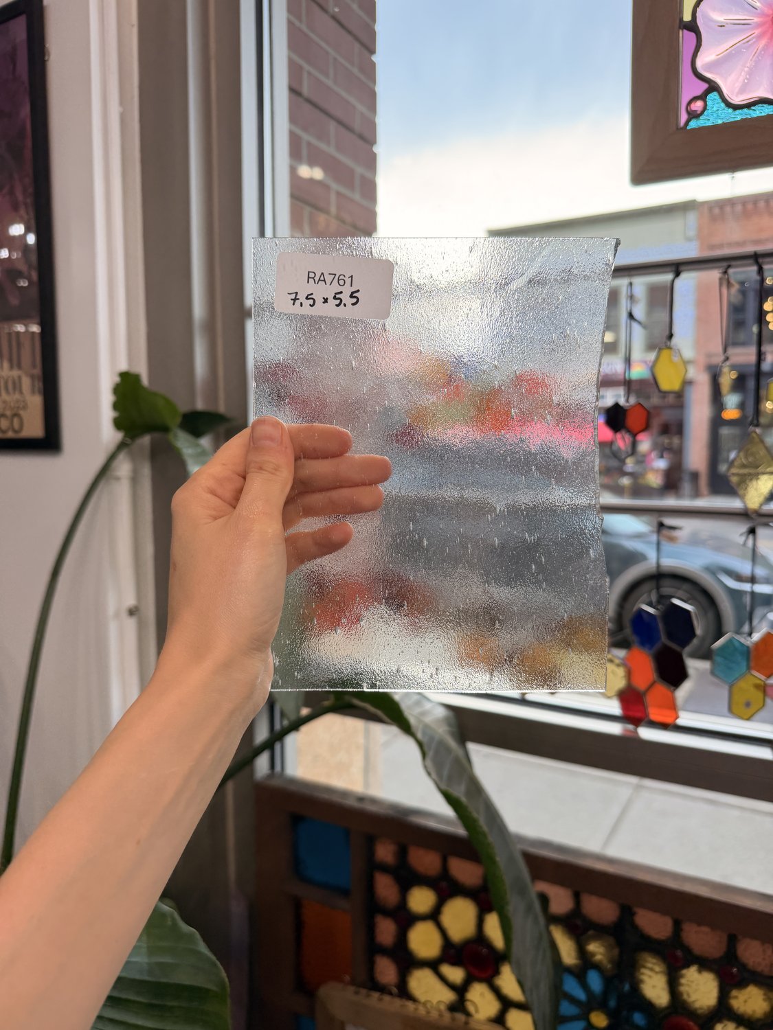 Clear Seedy Spectrum – RA761