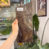 Vintage Brown Mottled Uroboros