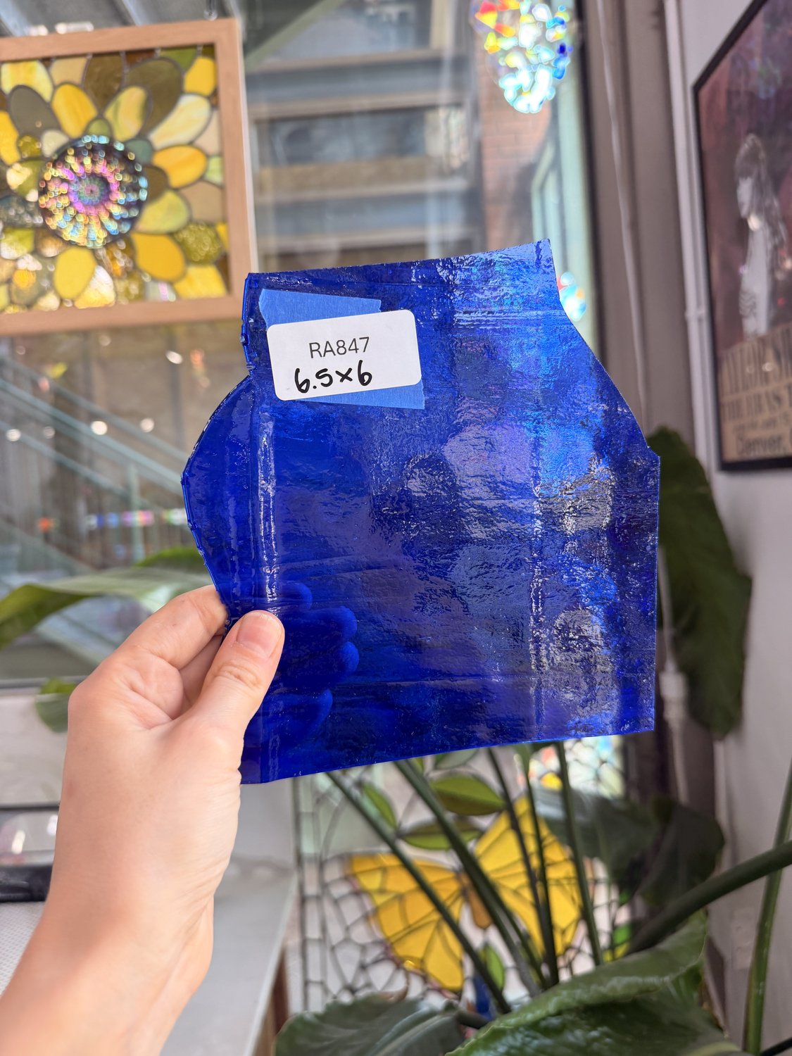 Transparent Blue Wissmach