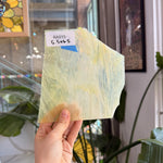 Mimosa Pearl Opal Oceanside – RA915