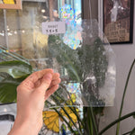 Spectrum Seedy Vintage Sheet Glass