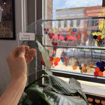 Clear Seedy Oceanside Sheet Glass