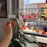 Clear Seedy Oceanside Sheet Glass