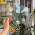 Clear Seedy Oceanside Sheet Glass