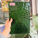 Christmas Green Kokomo Textured Wavolite Sheet Glass