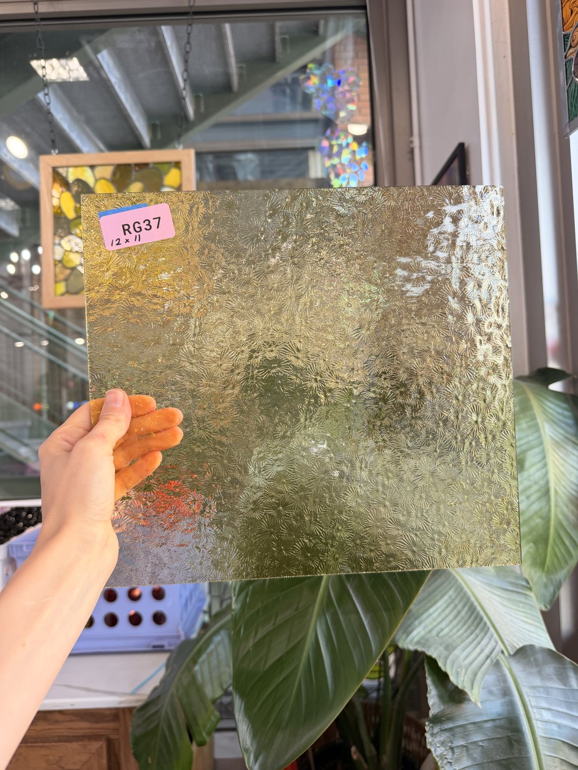 Vanilla Transparent Florentine Sheet Glass