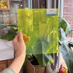 Neon Yellow Lamberts Mouthblown Sheet Glass Lamberts Glass 9.5x8.5in (LA-34075693)