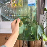Light Green Gradient on Clear Lamberts Flash Glass Sheet Glass Lamberts Glass 12x5.5in (LA-73321773)
