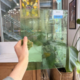 Light Green Gradient on Clear Lamberts Flash Glass Sheet Glass Lamberts Glass 12x9in (LA-73452845)