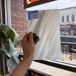 Gray White on Clear Lamberts Flash Glass