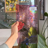 Taffy Pull (Pink Blue Stringer) on Clear Lamberts Flash Glass Sheet Glass Lamberts Glass 11x6in (LA-26930221)