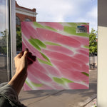 Pink Green Dapple on Clear Lamberts Flash Glass Sheet Glass Lamberts Glass