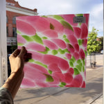 Pink Green Dapple on Clear Lamberts Flash Glass Sheet Glass Lamberts Glass
