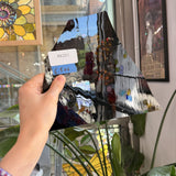 Dark Brown Mouthblown Transparent Sheet Glass