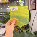 Neon Clear and Yellow Mouthblown AC Fischer