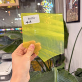 Neon Clear and Yellow Mouthblown AC Fischer