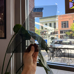 Transparent Gray Transparent Sheet Glass Colorado Glassworks