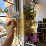 Light Amber Transparent Textured Wissmach Sheet Glass