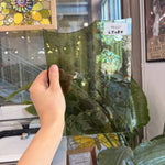 Olive Green Krosnos Sheet Glass Colorado Glassworks RK427 (6.5x8.5in)
