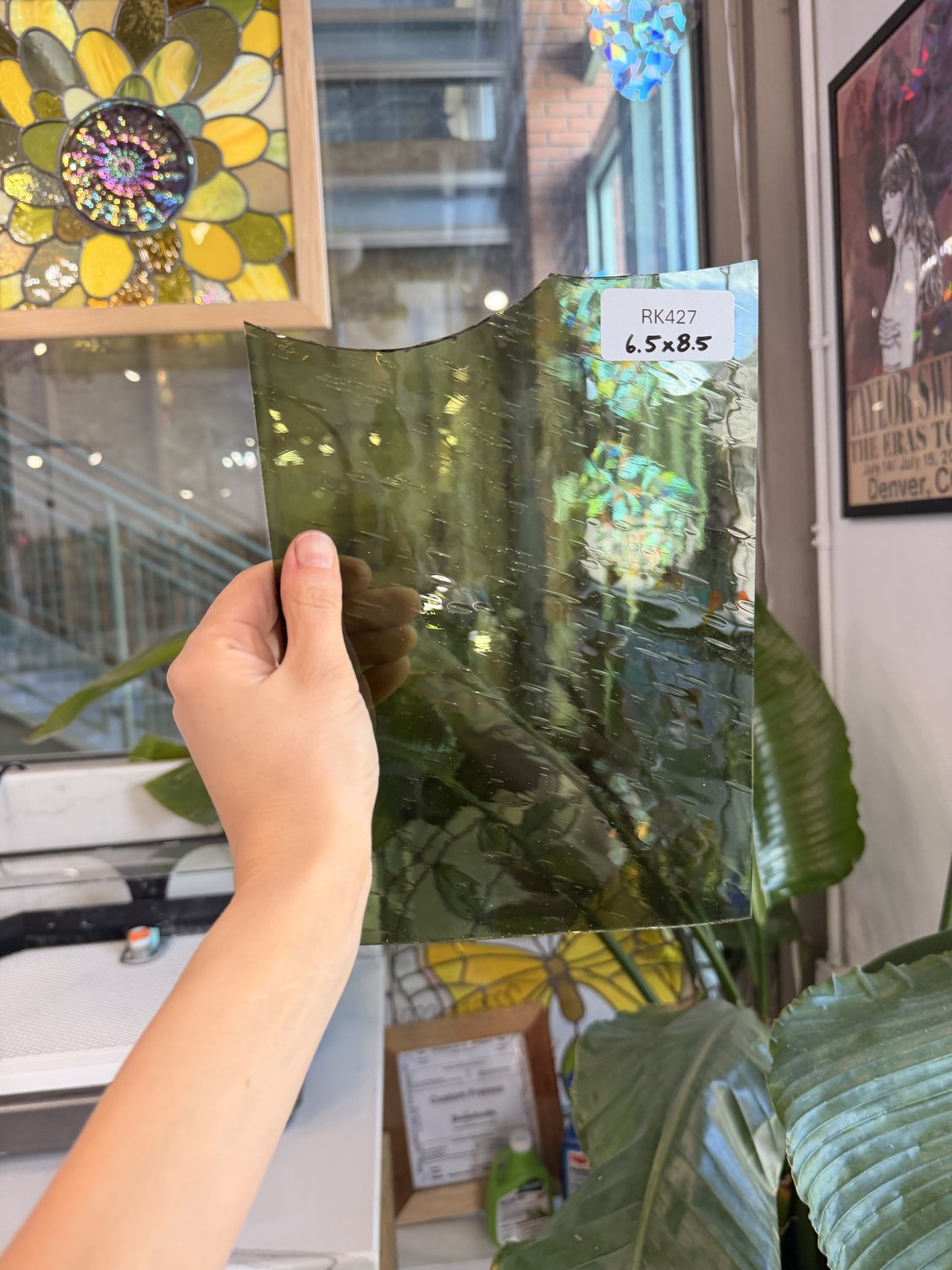 Olive Green Krosnos Sheet Glass Colorado Glassworks RK427 (6.5x8.5in)