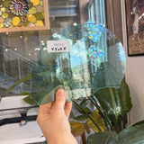 Pale Blue Transparent Mouthblown Sheet Glass Mouth Blown Glass Default Title