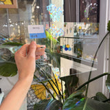 Clear Transparent Sheet Glass