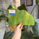 Green Yellow Youghiogheny – RK710