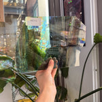 Green Blue Rainbow Mouthblown Lamberts – RK713