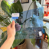 Light Blue Spectrum Waterglass – RK727