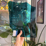 Dark Teal Mouthblown Lamberts – RK736