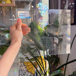 Transparent Seedy Lamberts – RK737