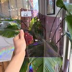 Pink Mouthblown Krosnos Transparent Sheet Glass Mouth Blown Glass 8x8in (KR-85927725)