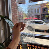 Super Seedy Clear Mouthblown Lamberts Sheet Glass Lamberts Glass 4x11in (LA-03110189)