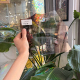 Brown Clear AC Fisher Flash (on clear)