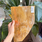 Amber White Wispy