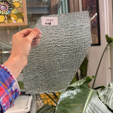 Clear Vintage Optimum Allegre Sheet Glass – RK980