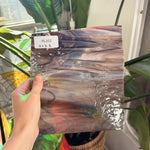 Hawkwings Pearl Opal Corisca Oceanside Sheet Glass