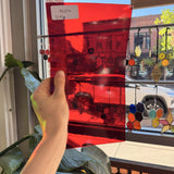 Red Transparent Oceanside Fusible 96 COE Sheet Glass
