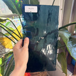 Steel Blue Oceanside Waterglass Fusible 96 COE Sheet Glass