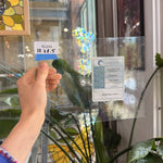 Clear Seedy Transparent Oceanside Glass Fusible 96 COE