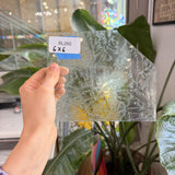 Clear Transparent Textured Glue Chip Sheet Glass
