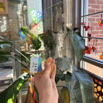 Lightest Yellow Mouth Blown Bubbled Texuture Sheet Glass