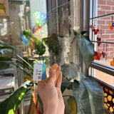 Lightest Yellow Mouth Blown Bubbled Texuture Sheet Glass
