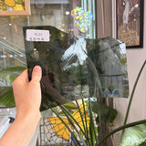 Green White Wispy Spectrum Sheet Glass