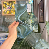 Sherwood Forest Oceanside Sheet Glass Fusible 96 COE – RL332