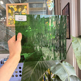 Medium Green Transparent Waterglass Spectrum Sheet Glass – RL373