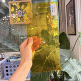 Yellow Transparent Oceanside Sheet Glass Fusible 96 COE